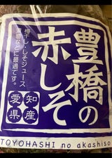 JA豊橋 赤じそ 300g