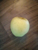 大中 シナノゴールド 6P