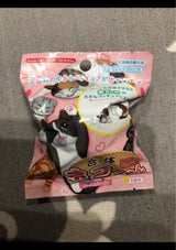 合体ネコちゃんバスボール 601-6229