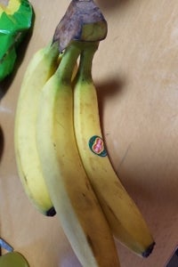 使用している写真