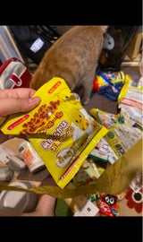 チキンラーメンひよこちゃん バスボール