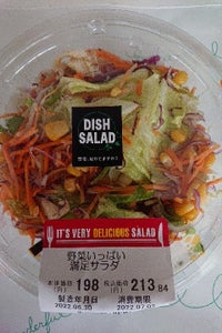 １０６デリカ　野菜いっぱい満足サラダ　１食の商品写真