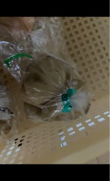 菜匠 じゃがいもとうや茨城県産 700g