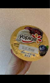 フジッコ ヨープレイト ブルーB&カシス 100g