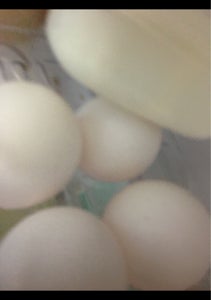 使用している写真
