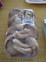 ロジスティック なましいたけ福島産 100g