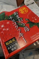 博多ほがや あまおう苺チョコクッキー 10個