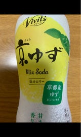 伊藤園 ビビッツ京ゆずソーダ 450ml