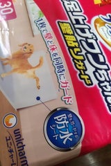 デオシート 足上げワンちゃん壁貼り ワイド 30枚