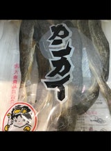 大東 カンカイ 172g