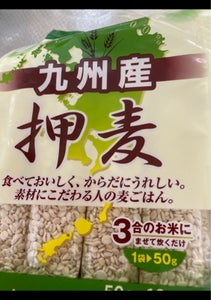 石橋工業　九州産　押麦　５０ｇ×１２の商品写真