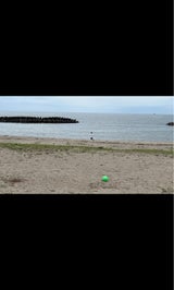 横山 立山高原みぞれ赤 160ml