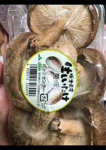 ＪＡしおのや　椎茸の商品写真