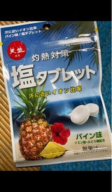 赤穂化成 灼熱対策 塩タブレットパイン味 33g