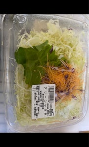 藤本 グリーンサラダの商品写真