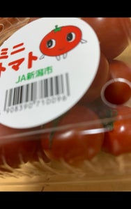 ＪＡ　ミニトマトの商品写真