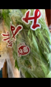 JA全農いばらき みず菜 150gの商品写真