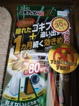 アースゴキプッシュプロ1 80回分 20ml