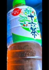 十六茶 ペットボトル