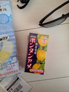 セイカ食品　ボンタンアメ　１４粒の商品写真