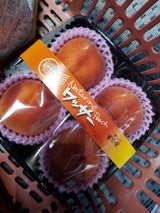 マルマ ワッサー長野県産 4P