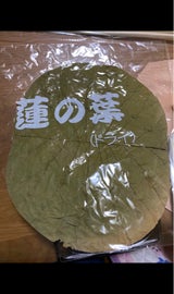 高山 ドライハスの葉 1P