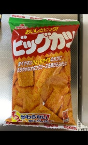 スグル食品 ビックカツひとくちタイプ 127gの商品写真