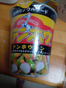 サンヨー食品　テンホウメン　９７ｇの商品写真