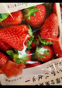 南信州菓子工房　濃厚な果実感いちごゼリー　４０ｇのレビュー画像