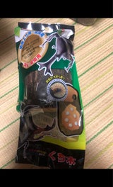 フジコン くち木