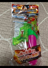 池田 ウォーターガン ツインパワー 17040