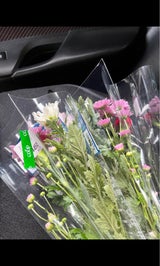 アグリビジネス カジュアルフラワー