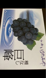 山梨一宮 種なし巨峰 化粧箱 800g
