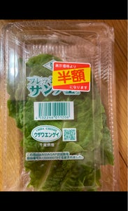 鵜沢 フレッシュサンチュの商品写真