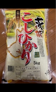 イケノベ 茨城県産こしひかり 5kgの商品写真