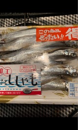 松江 子持ちししゃも3L 6尾