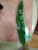 JA栃木 にがうり