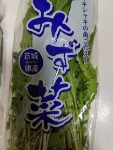 精工 みず菜袋 1Pの商品写真