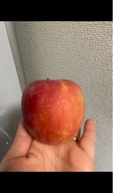 丸益村上 りんご ふじ 6P