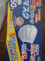 LC1000020 5プリーツマスク R 50P