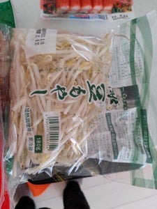 アスナ 緑豆もやし 180gの商品写真