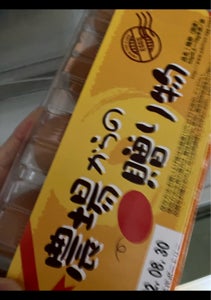 八千代　農場からの贈り物（赤卵）　１０個の商品写真