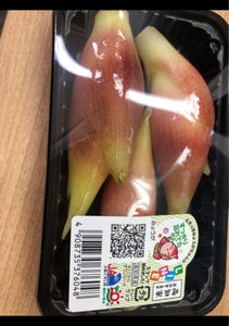 高知県園芸連　エコシステム栽培みょうが　５０ｇの商品写真