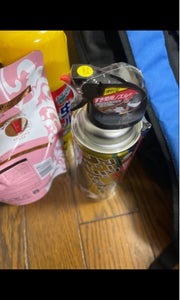 医薬品ゴキジェットプロ　４５０ｍｌの商品写真