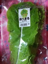 耕佑 宮城産サンチェ