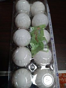 アキタ わかばちゃん 10Hの商品写真