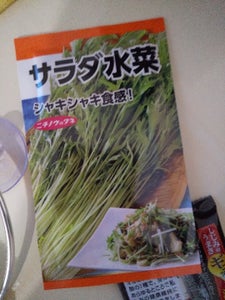 日本農産種苗　サラダ水菜のレビュー画像