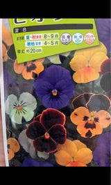 タキイ ビオラ混合