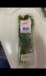 共立リビングアーツ イタリアンパセリ