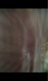 日本ハム 彩りキッチンハーフベーコン 35g